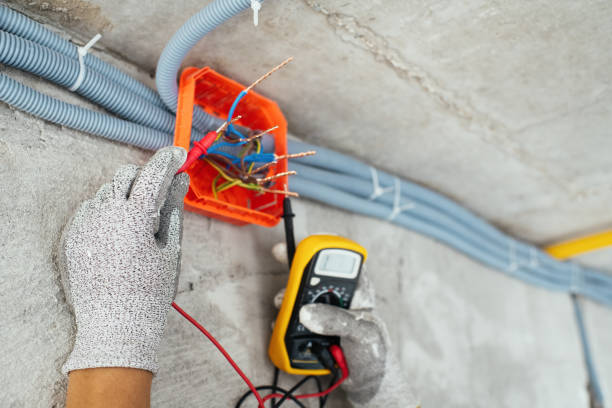 Best Electric Panel Repair  in Dranesville, VA